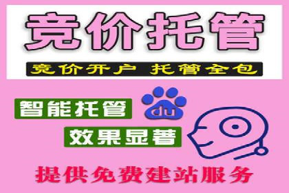 竞价广告案例：网络推广新思路